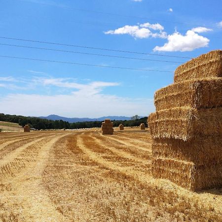 Masia Can Bachs Sant Pere de Vilamajor Kültér fotó
