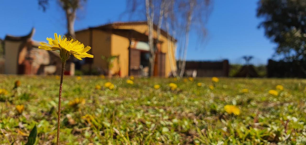 Masia Can Bachs Sant Pere de Vilamajor Kültér fotó